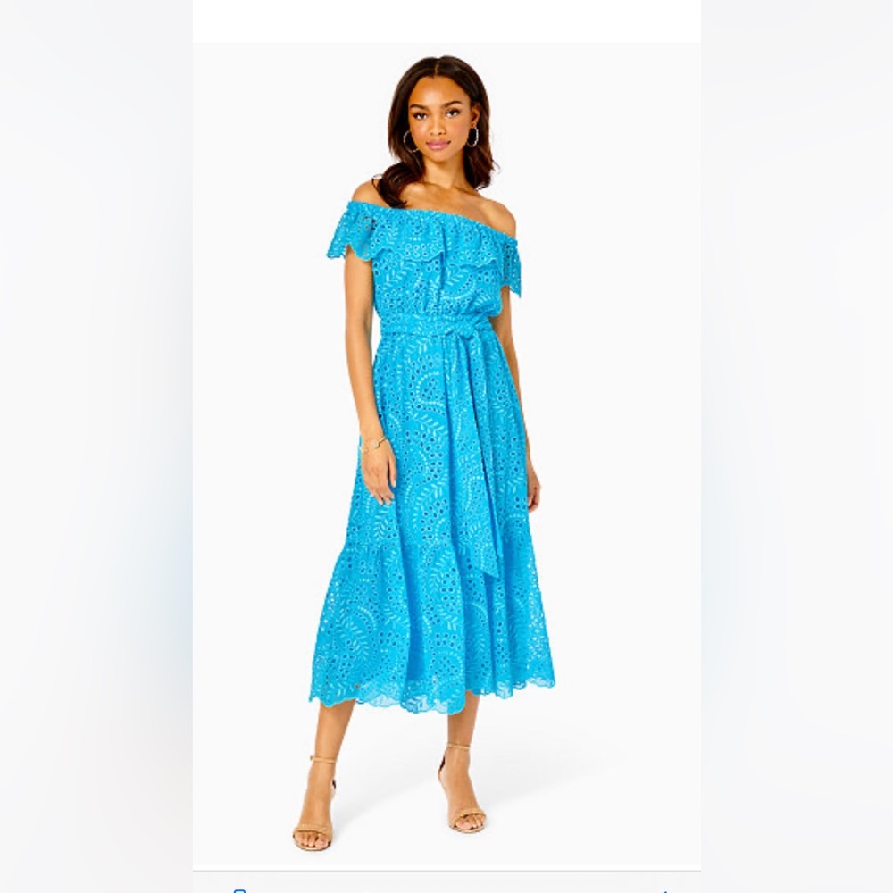 Beautiful dress. Brand new with tags.